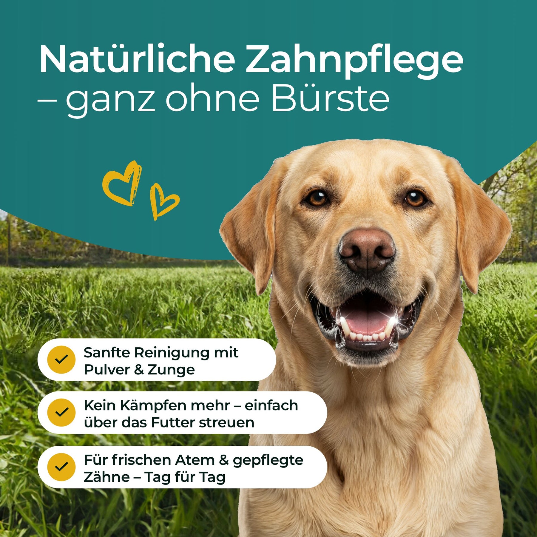 Denti Hundpur® con complesso dentale