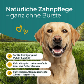 Denti Hundpur® con complesso dentale