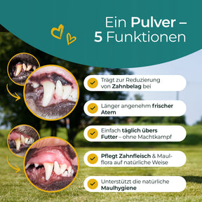 Denti Hundpur® con complesso dentale