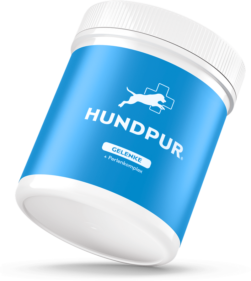 Hundpur Gelenke Dose