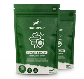 Hundpur® felicità digestiva con lievito complesso