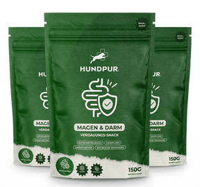 Hundpur® felicità digestiva con lievito complesso