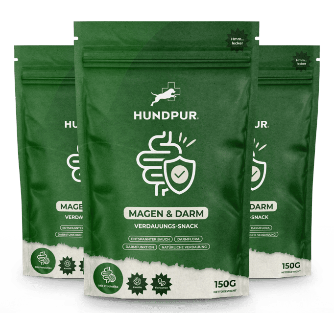 Hundpur® felicità digestiva con lievito complesso