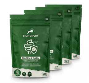 Hundpur® felicità digestiva con lievito complesso