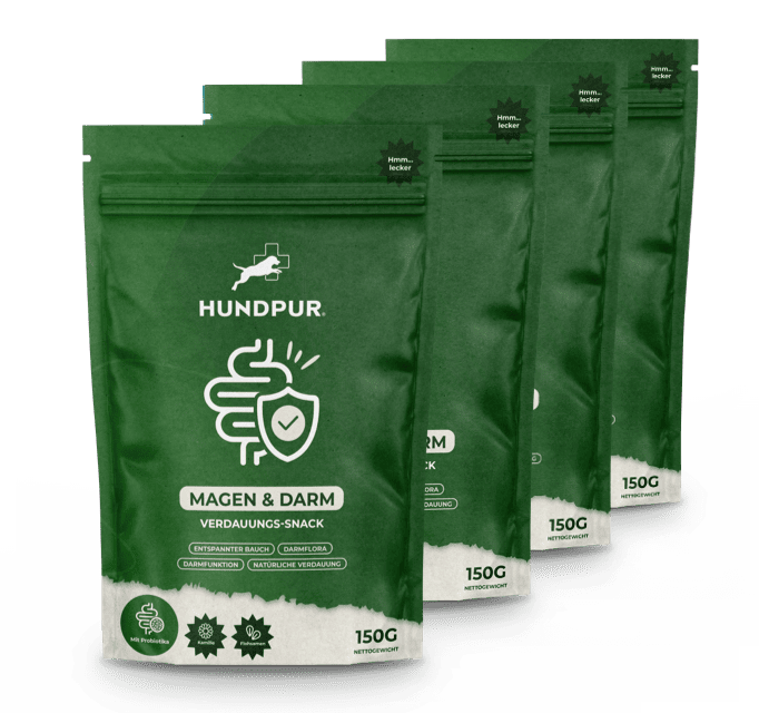 Hundpur® felicità digestiva con lievito complesso