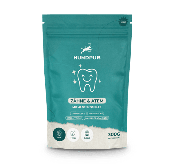 Hundpur® Zähne & Atem