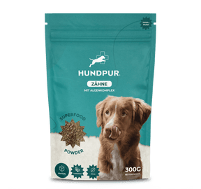 Hundpur® Zähne & Atem & Dentalspray -30% Rabatt