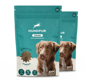 Hundpur® Zähne & Atem & Dentalspray -30% Rabatt