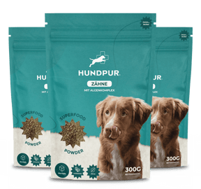 Hundpur® Zähne & Atem & Dentalspray -30% Rabatt