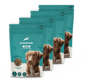 Hundpur® Zähne & Atem & Dentalspray -30% Rabatt