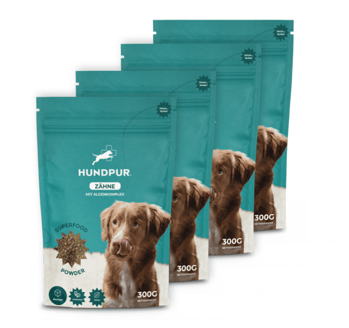 Hundpur® Zähne & Atem & Dentalspray -30% Rabatt
