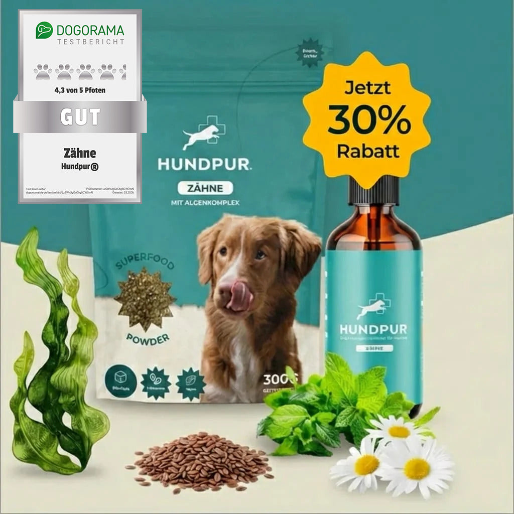 Hundpur® Zähne & Atem & Dentalspray -30% Rabatt