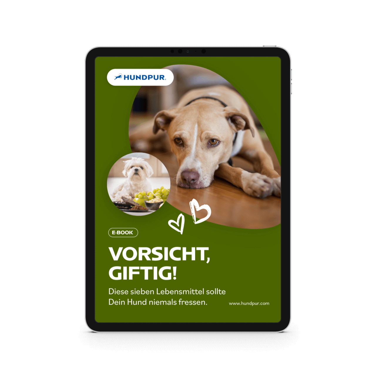 7 Lebensmittel, die giftig für Hunde sind (E-Book)