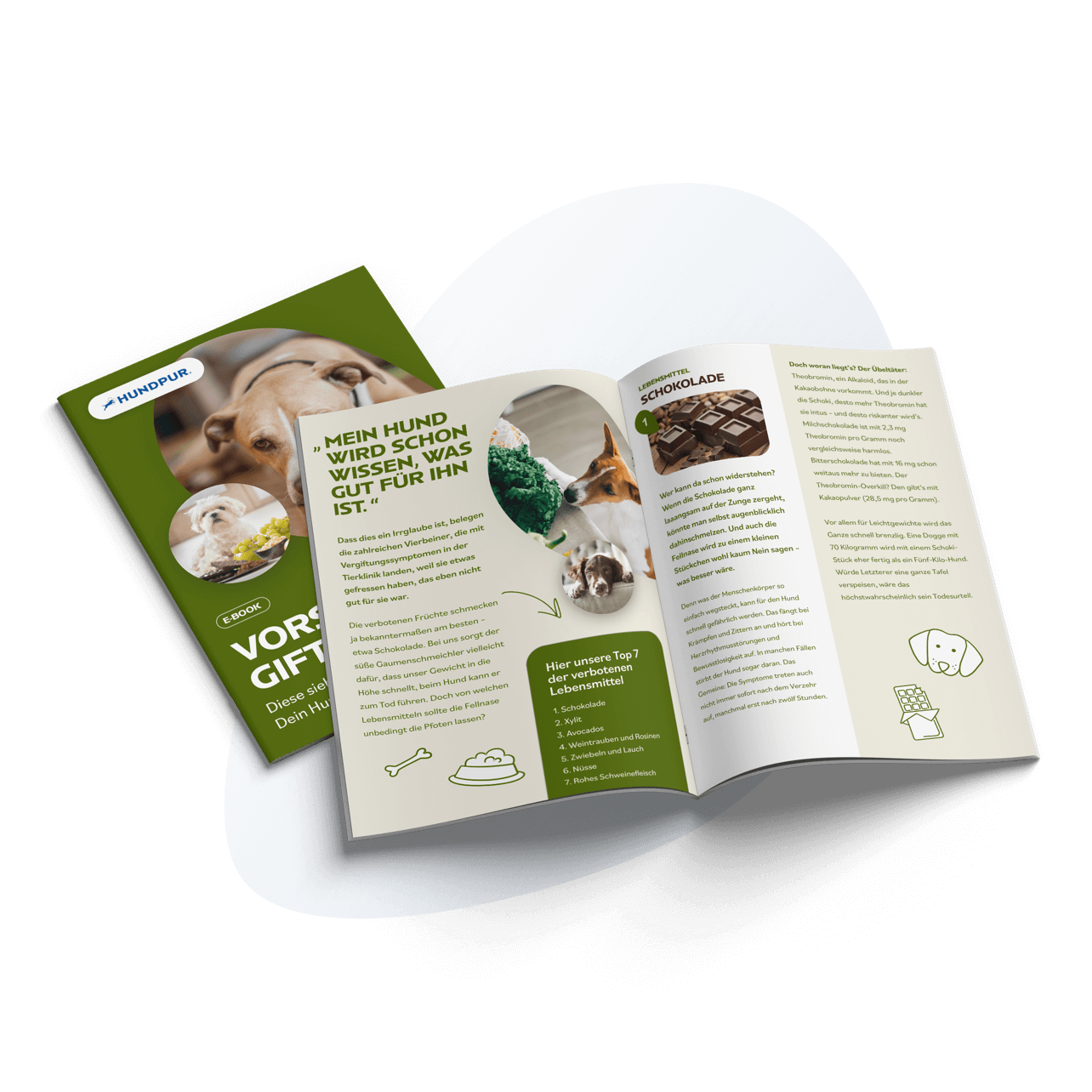 7 Lebensmittel, die giftig für Hunde sind (E-Book)