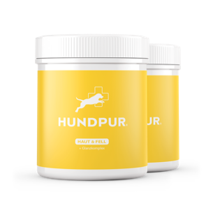 Hundpur® Haut und Fell 20% + Gratis Fellbürste