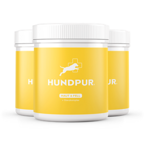 Hundpur® Haut und Fell 20% + Gratis Fellbürste