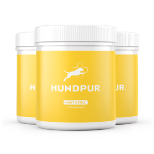 Hundpur® Haut und Fell 20% + Gratis Fellbürste