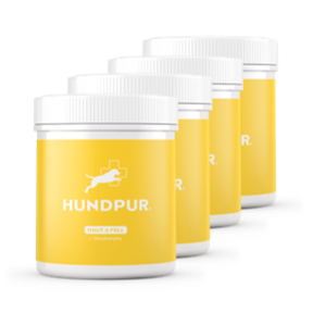 Hundpur® Haut und Fell 20% + Gratis Fellbürste