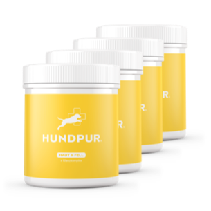 Hundpur® Haut und Fell 20% + Gratis Fellbürste