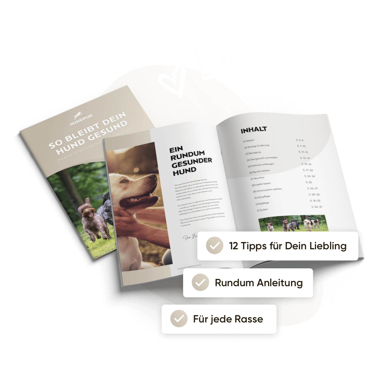 So bleibt dein Hund gesund