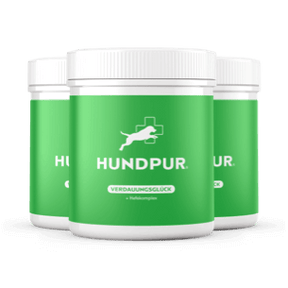 Hundpur® Verdauungsglück mit Probiotika 20% + Gratis Dino