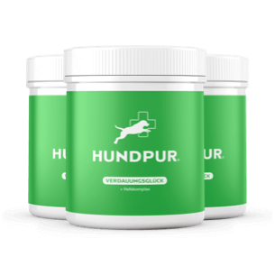 Hundpur® Verdauungsglück mit Probiotika 20% + Gratis Dino