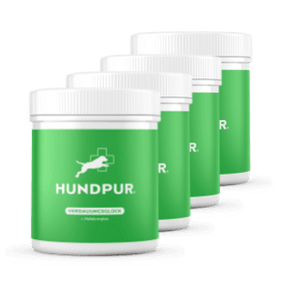Hundpur® Verdauungsglück mit Probiotika 20% + Gratis Dino