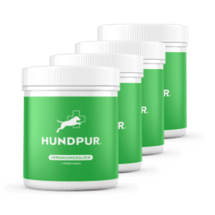 Hundpur® Verdauungsglück mit Probiotika 20% + Gratis Dino
